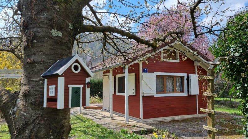 a small red house in a garden in spring, pink blossoms on a tree in the background