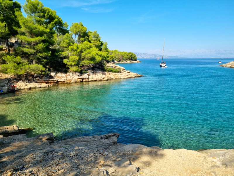 clear, turquoise water and green pine trees in a small bay. a sailing boat in the background